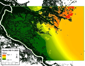 Freshwater Diversions into Estuaries